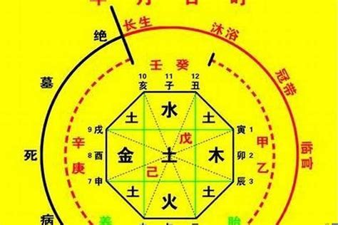 八字喜水木|【喜水木】八字命格喜水木：適合的城市、個性與禁忌。